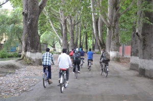 kashbike12